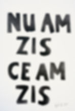 Miniatură: Nu am zis ce am zis