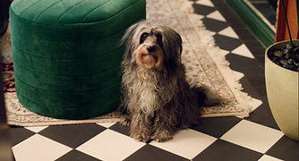 Starling Bank_08.png