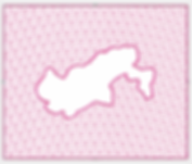 CurlQuilt1.PNG