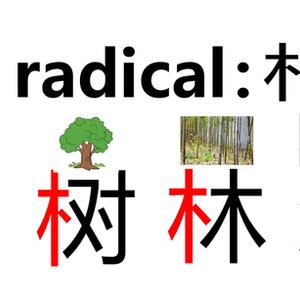 Interesting Learning Materials