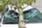 Depositphotos_40874313_original car auto tree