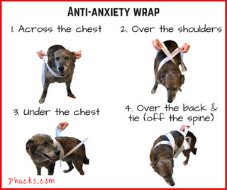 ace bandage wrap dog anxiety