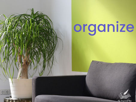 living room chair and plant - Text: organize