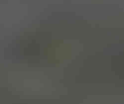 Shortcut - PASTE - ctrl+V