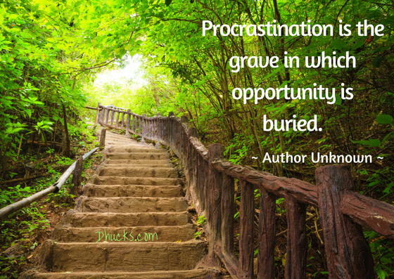 Procrastination is the grave in which opportunity is buried. author unknown