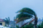 Hurricane winds