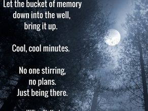 Loss, Grief and Organization