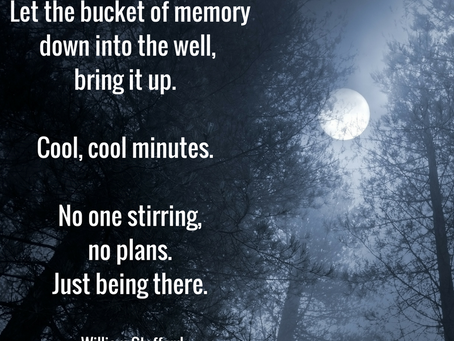 Loss, Grief and Organization