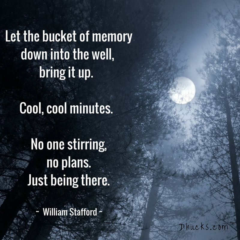 moon above the trees. Quote - let the bucket of memory down into the well, bring it up. cool, cool minutes. no one stirring, no plans, just be there by william stafford