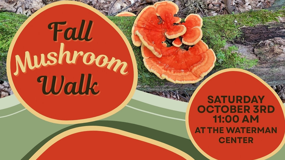Fall Mushrooms at the Waterman Center