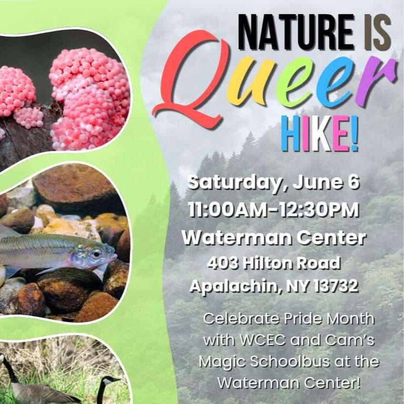 Nature is Queer: Exploring Fluidity in Nature