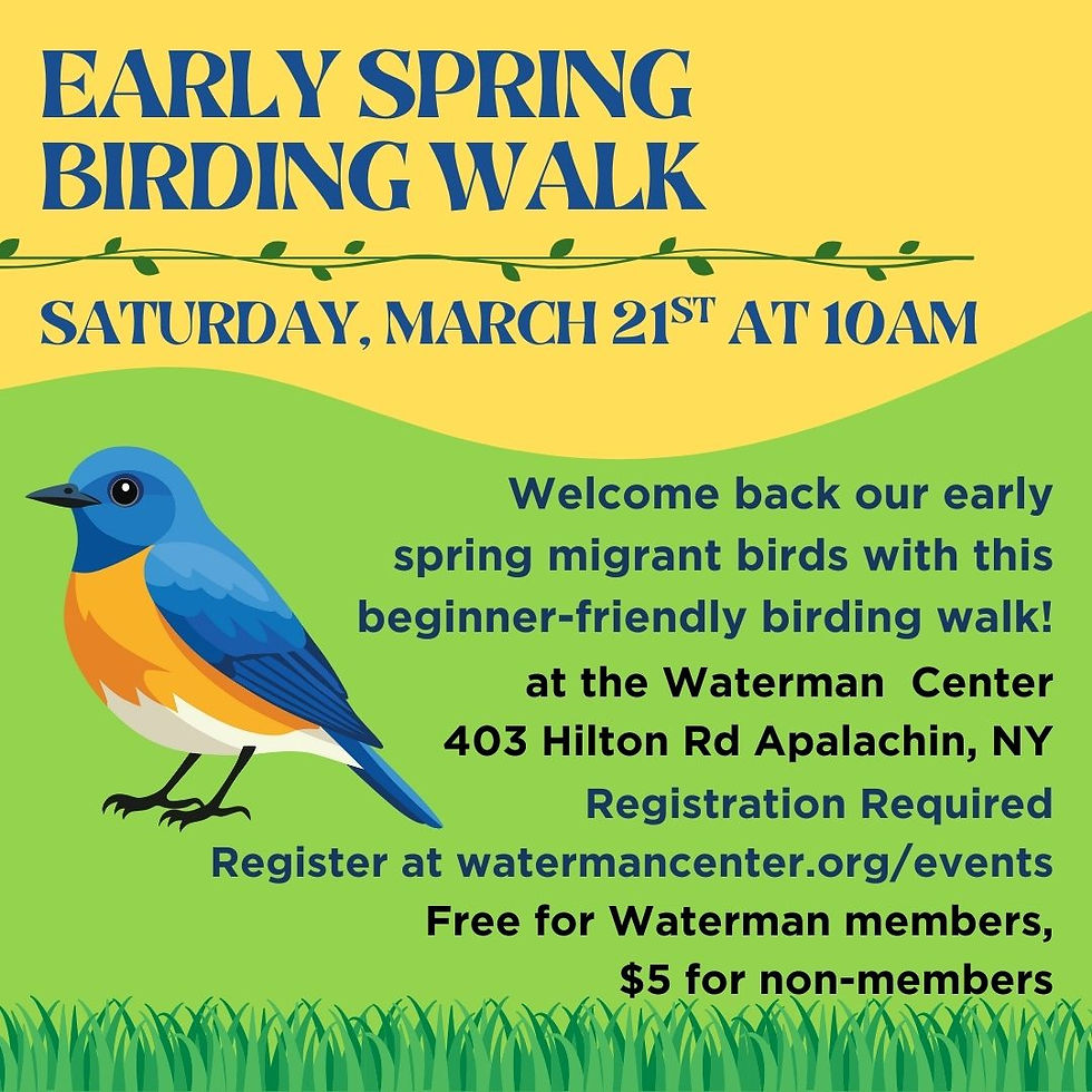 Early Spring Birding Walk
