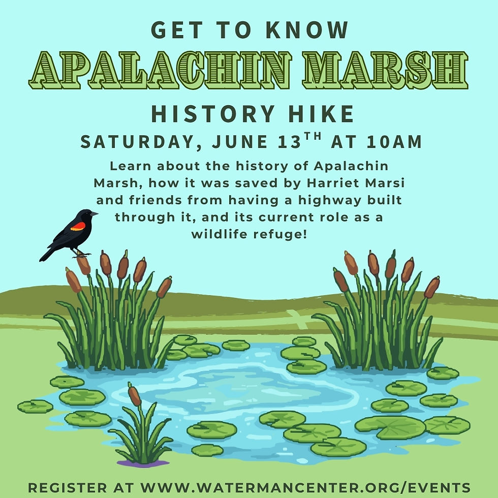 Apalachin Marsh History Hike