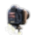 TeriFranzen_NHTLLogo3.png