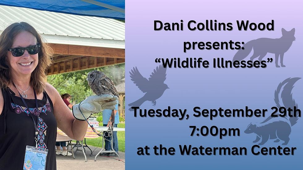 Dani Collins Wood: "Wildlife Illnesses"