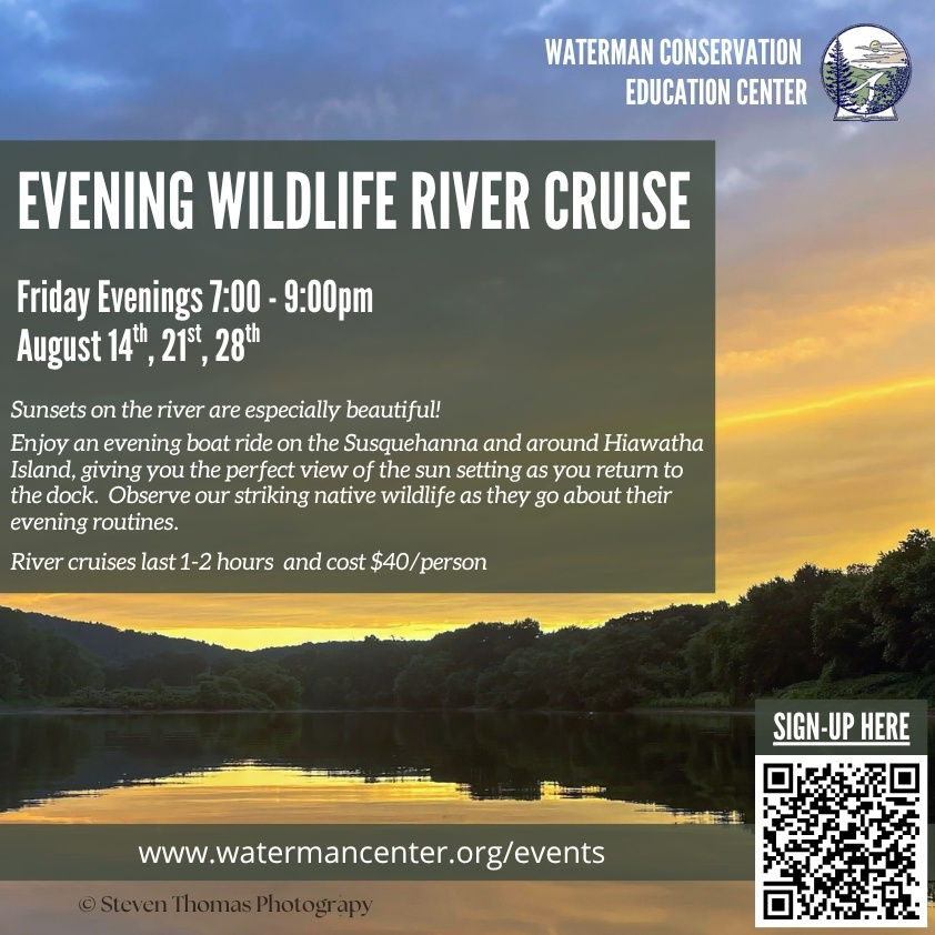 Evening Wildlife River Cruise