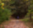 AP7I5096-DeNoiseAI-clear-2.jpeg