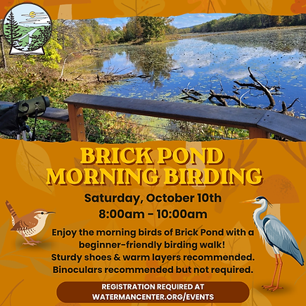 brick pond big bird day.png