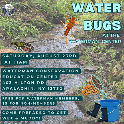 Water Bugs Waterman Stream 2025 (1080 x 1080 px) (1).png