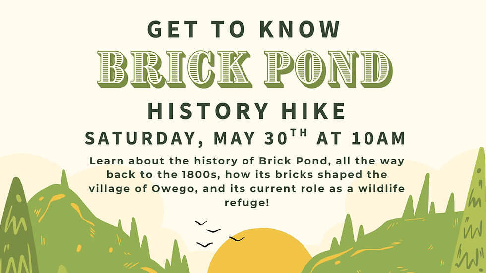 Brick Pond History Hike