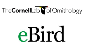 ebird logo