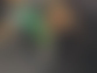 ワンワン大行進。