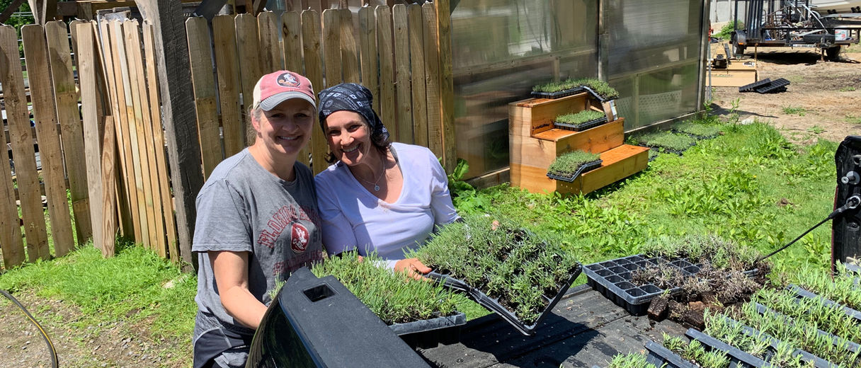 First 2,000 plants.