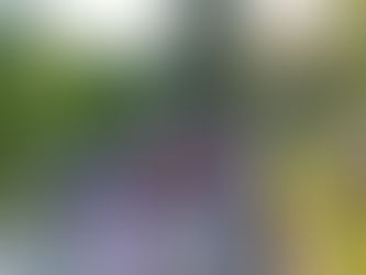 (06/16/24) 5K Run For Autism Awareness