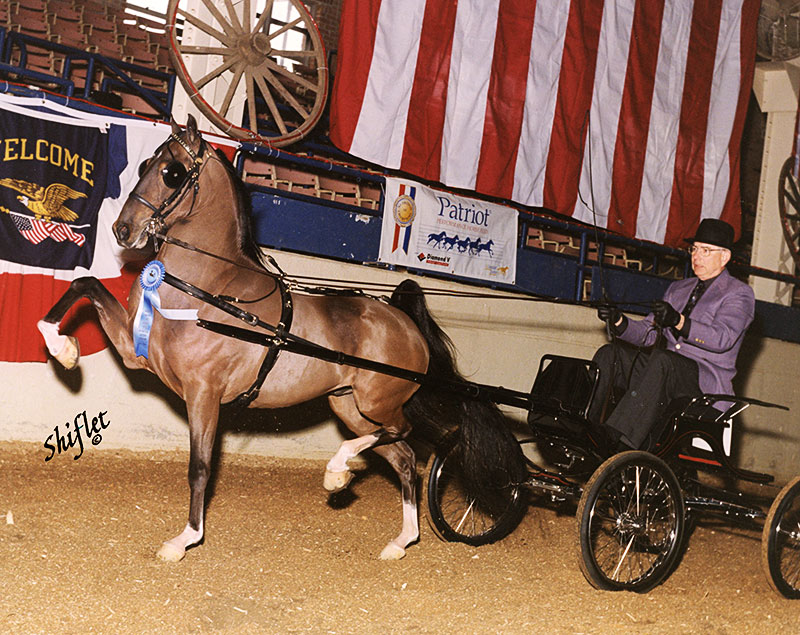 Heartland Triple Crown in 2001