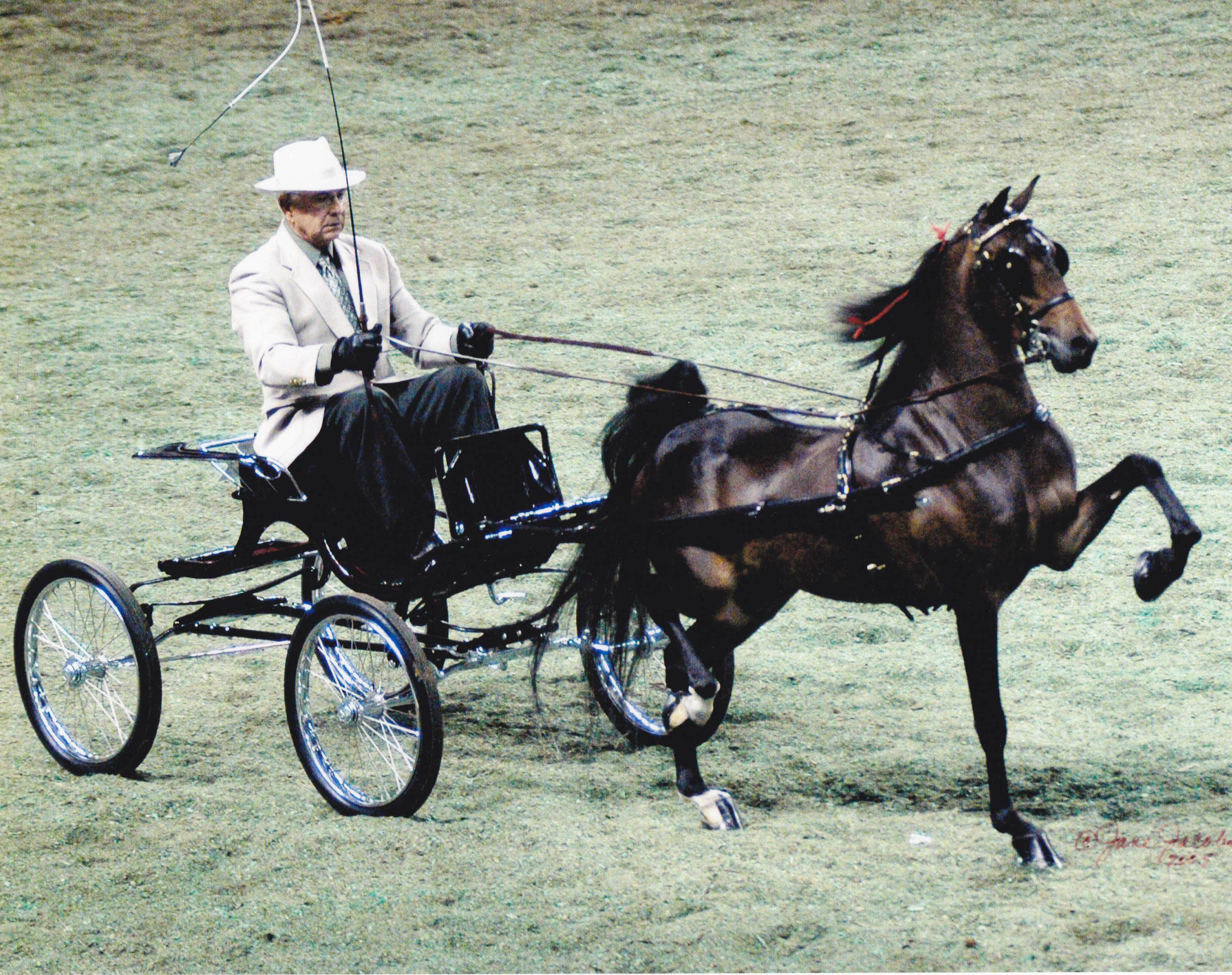 2005 Heartland Beautiful Dreamer