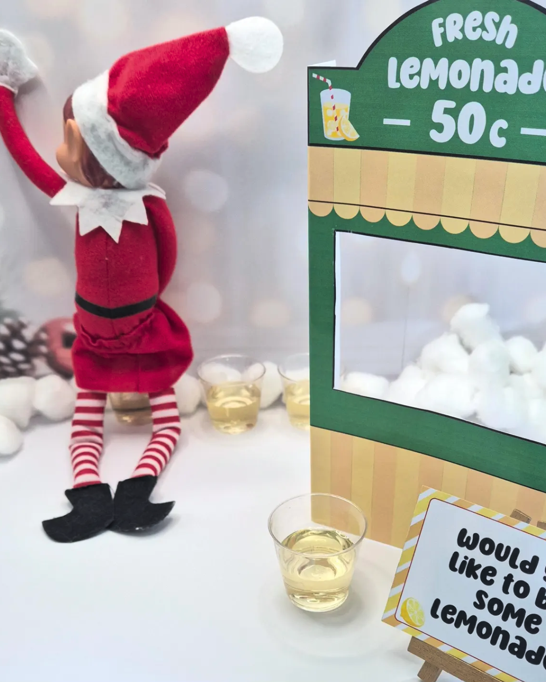 ELF ON A SHELF KIT