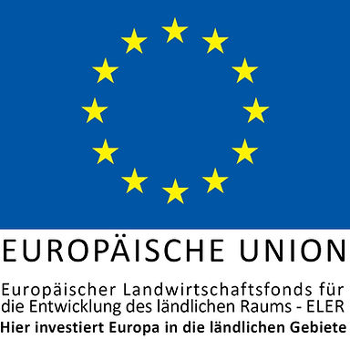 EU Logo