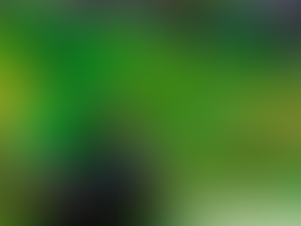 APRENDA A ESCOLHER A GRAMA CERTA PARA O SEU JARDIM