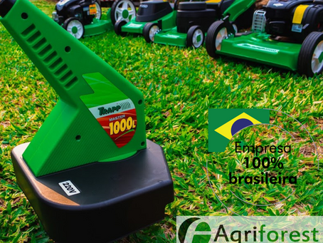 APRENDA A ESCOLHER A GRAMA CERTA PARA O SEU JARDIM