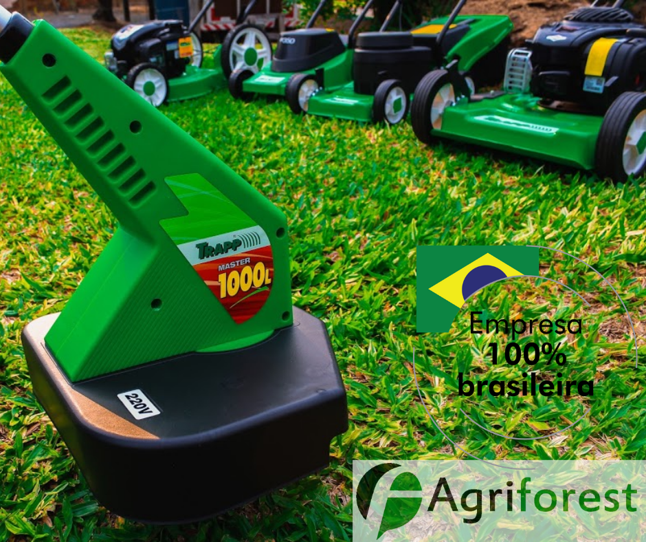 APRENDA A ESCOLHER A GRAMA CERTA PARA O SEU JARDIM