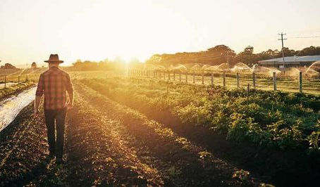 O que considerar antes de escolher a máquina agrícola