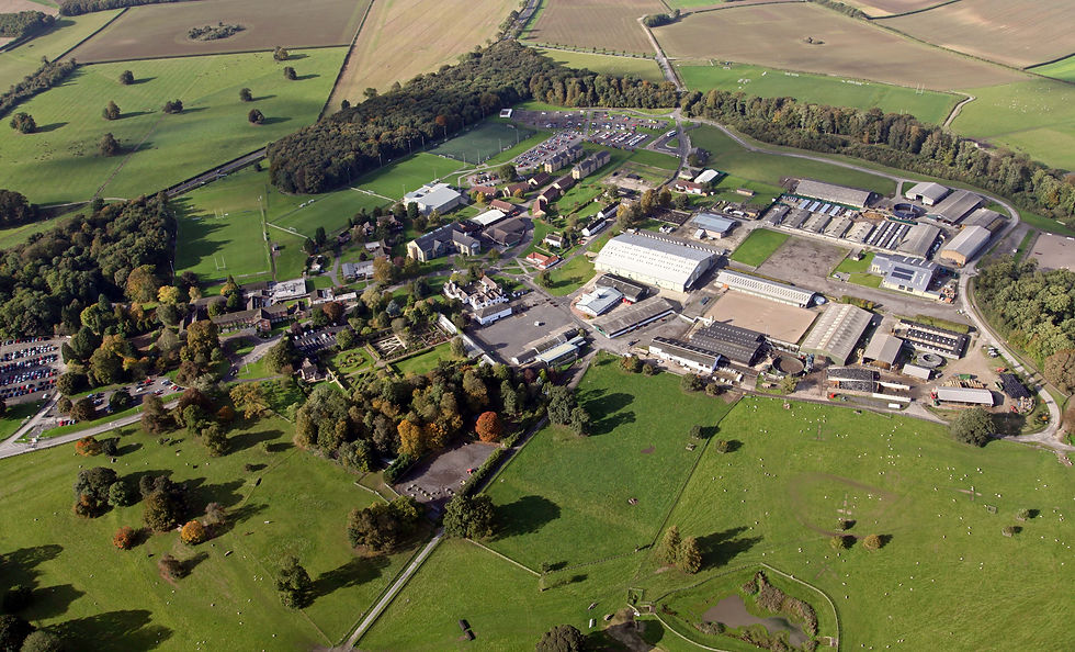 The extensive college campus is the perfect facility for the East Riding Stages Rally. Photo: Bishop Burton College