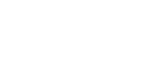 NT-LOGO-WHITE.png