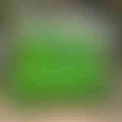 Solar powered boot wash helps protect sites from contamination