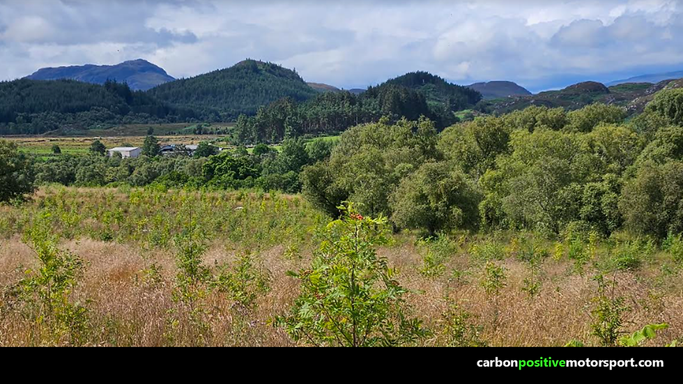 The Loch Ness project is planting native tree species to restore natural habitats and enhance biodiversity in the Scottish Highlands.