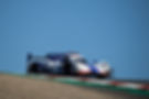 JPrice_IMSA_LAGUNASECA22-4261.jpg