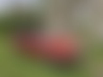 This year's classic touring assembly welcomes all classic cars as well as modern cars of significant interest