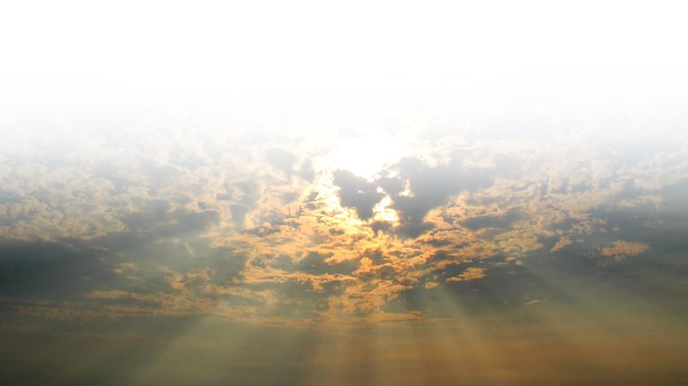 Sun-rays-img-white-top-fade.png
