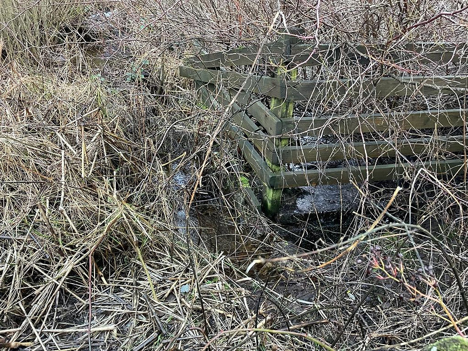 Evidence of the collapsed culvert