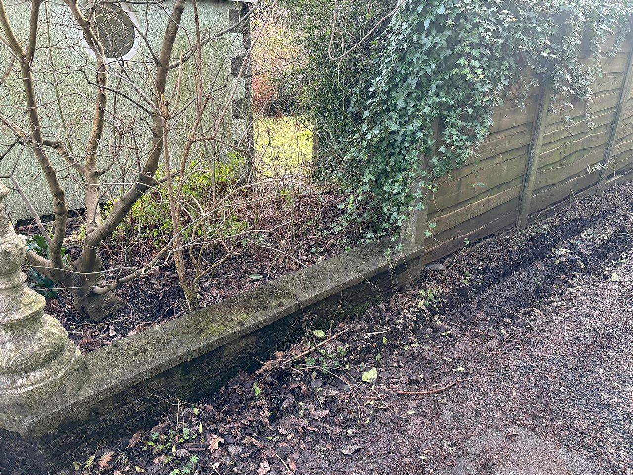 the grounds of the bungalow were overgrown
