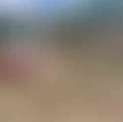 Vegetation from the existing bank was carefully removed