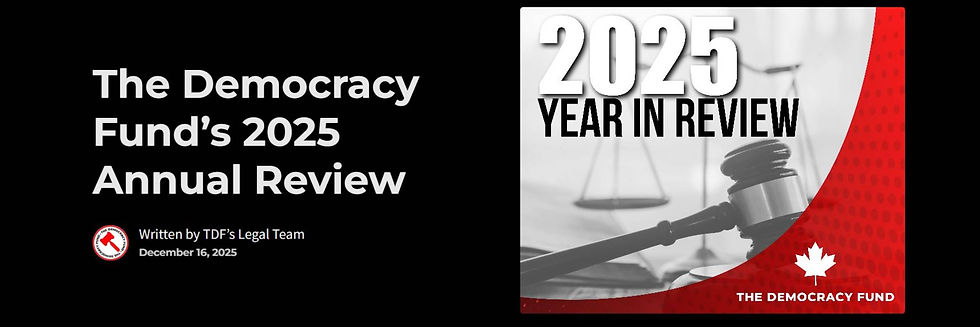 TDF - article - 2025 Year in Review.JPG