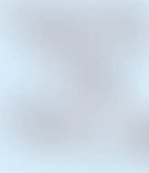 Body clipping horses