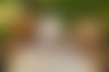 Mentor - Die Leselernhelfer