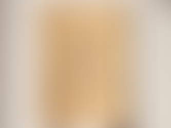 3 Logo variaties, dat elk merk nodig heeft